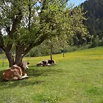 Blonbauer * Schladming