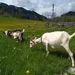 Blonbauer * Schladming
