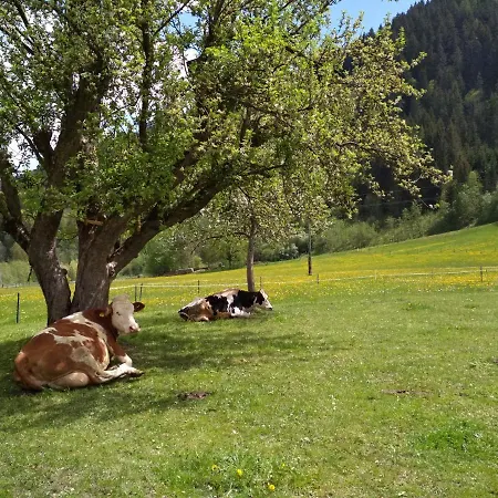 Blonbauer * Schladming