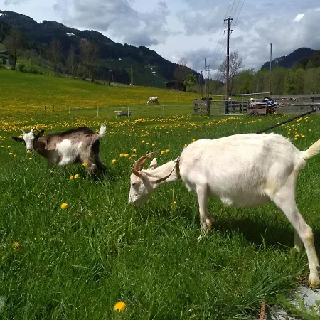 Blonbauer * Schladming