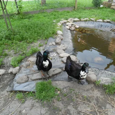 Blonbauer Vakantieboerderij
