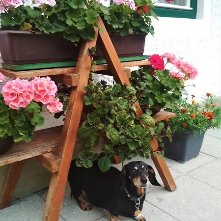 Alojamento de Turismo Rural Blonbauer