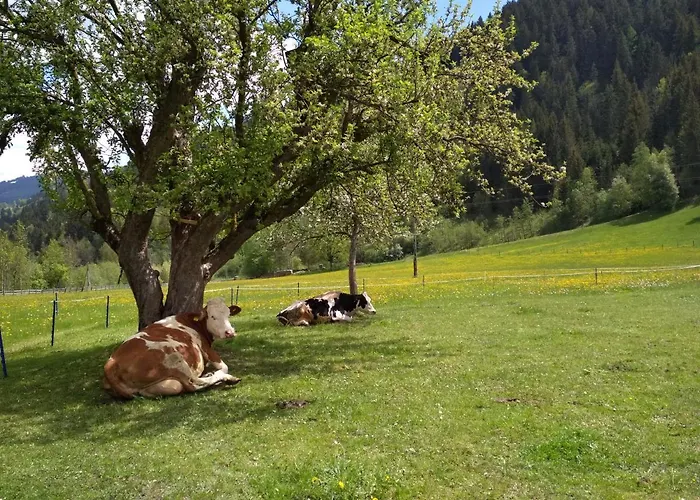 Blonbauer * Schladming