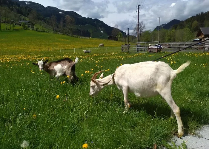 Blonbauer * Schladming