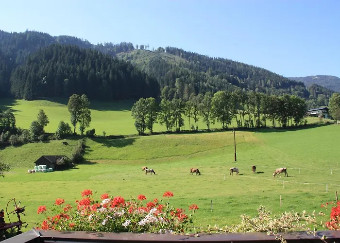 Lantgård Blonbauer Schladming