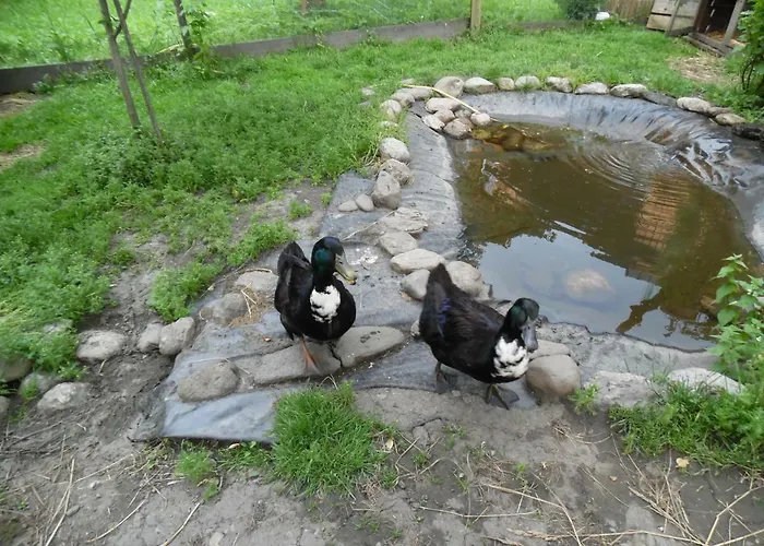 Blonbauer Vakantieboerderij